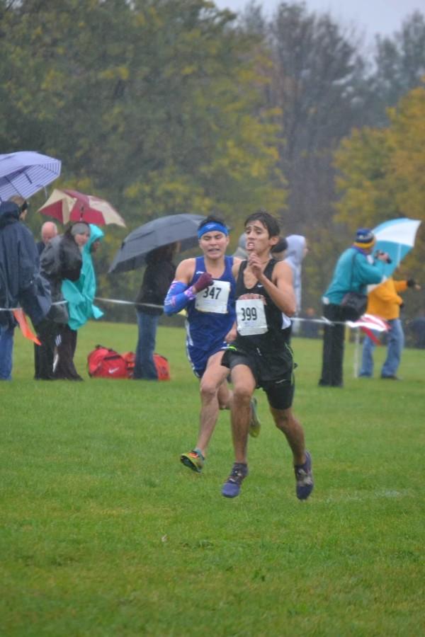 Senior Miguel Lomeli runs  at the rain-soaked sectional meet in Normal.  Lomeli finished seventh, helping the team to a sectional title, its first ever.