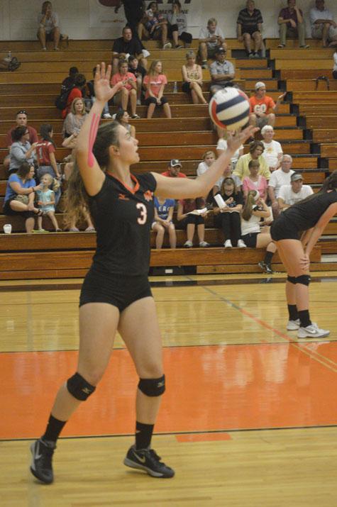 Volleyball aims for sectional title in rematch
