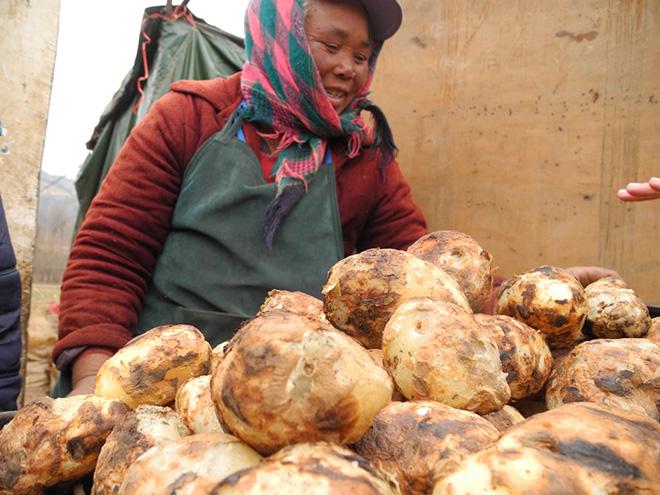 A+woman+sells+potatoes+on+the+side+of+a+highway+in+Yunnan%2C+China.+Efforts+to+increase+potato+consumption+are+widespread%2C+spanning+from+new+restaurants+to+various+propaganda.++%0A