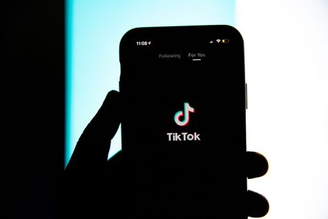 Some fear the user information from TikTok could be susceptible to being stolen. 