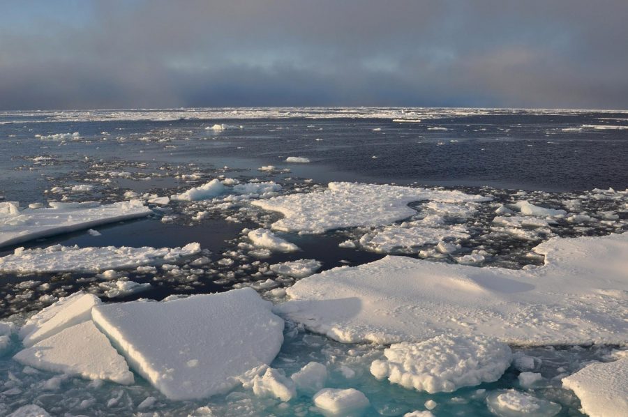 Melting sea ice in the Arctic is having an effect on the environment. 