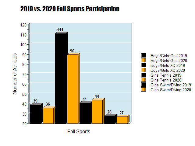 Participation+rates+from+fall+sports+in+2019+to+2020+didnt+show+much+change+overall.+Some+sports+went+up+slightly%3B+others+went+down+slightly.+