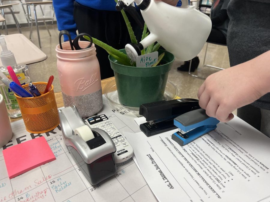 Sophomore Jaidyn Shannon waters an aloe plant for her job during the vocational period on Feb. 6.